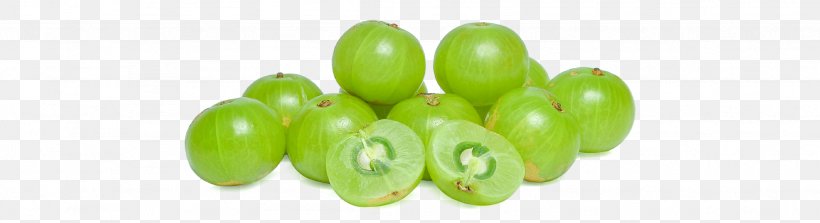 Indian Gooseberry Phyllanthus Acidus Fruit Stock Photography, PNG, 1947x531px, Indian Gooseberry, Ball, Extract, Food, Fotosearch Download Free