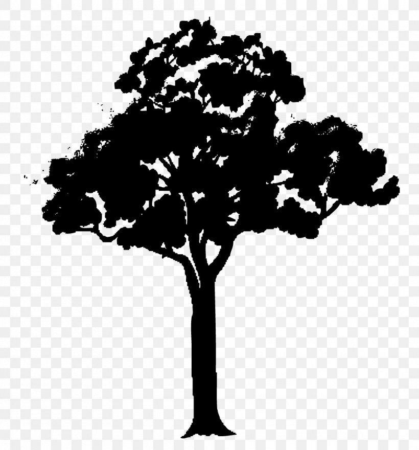 Tree Cartoon Clip Art, PNG, 1063x1142px, Tree, Animation, Art, Black And White, Branch Download Free