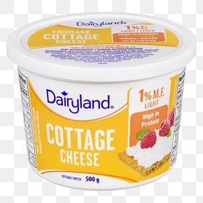 Cheese - CrÃ¨me FraÃ®che Cottage Cheese Cream Flavor PNG