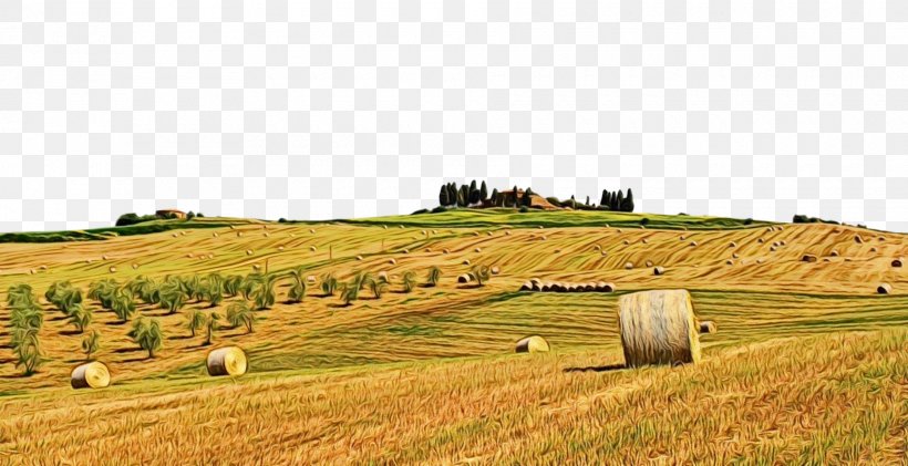 Hay Field Straw Land Lot Pasture, PNG, 1880x966px, Watercolor, Agriculture, Farm, Field, Grass Download Free