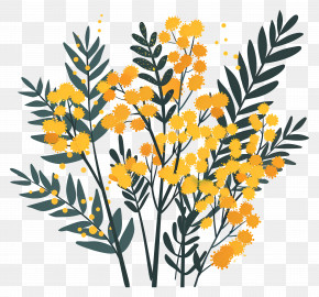 Mimosa Flowers - Vibrant Mimosa Flower Illustration PNG