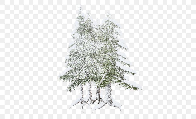 Spruce Fir Christmas Tree Pine Christmas Ornament, PNG, 419x500px, Spruce, Branch, Christmas, Christmas Decoration, Christmas Ornament Download Free