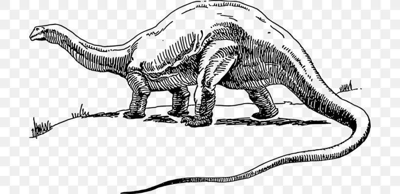 Apatosaurus Brontosaurus Tyrannosaurus Dinosaur Park Diplodocus, PNG, 700x397px, Apatosaurus, Animal Figure, Artwork, Black And White, Brontosaurus Download Free
