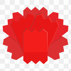 Carnation Flower PNG