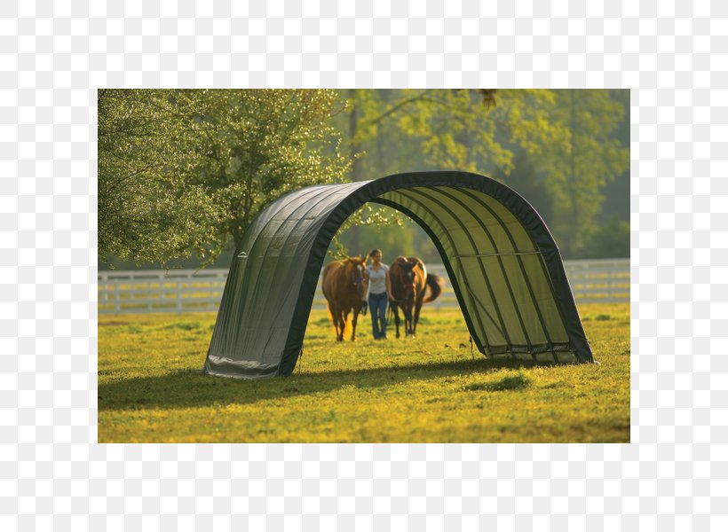 Horse Shelter Shed Canopy Garage, PNG, 600x600px, Horse, Budynek Inwentarski, Canopy, Carport, Chicken Coop Download Free