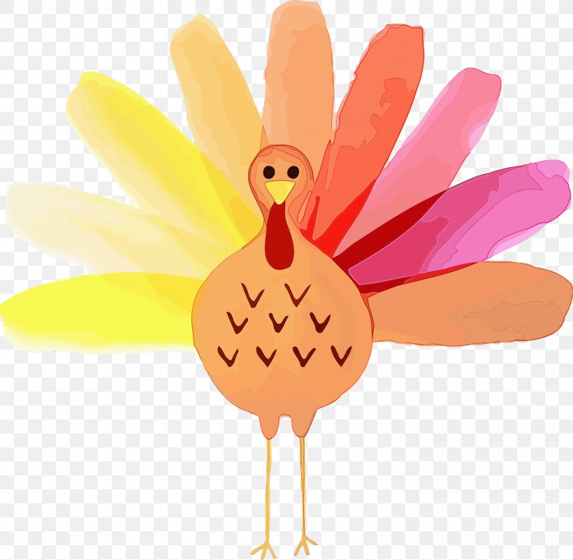 Bird Pink Chicken Hand Finger, PNG, 3000x2932px, Thanksgiving Turkey, Bird, Chicken, Finger, Hand Download Free