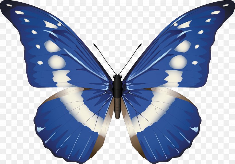 Butterfly Morpho Rhetenor Morpho Menelaus Morpho Helena, PNG, 3708x2597px, Butterfly, Arthropod, Blue, Brush Footed Butterfly, Cobalt Blue Download Free