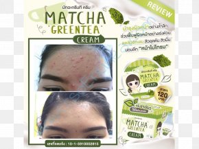 Green Tea - Matcha Green Tea Cream Milk PNG