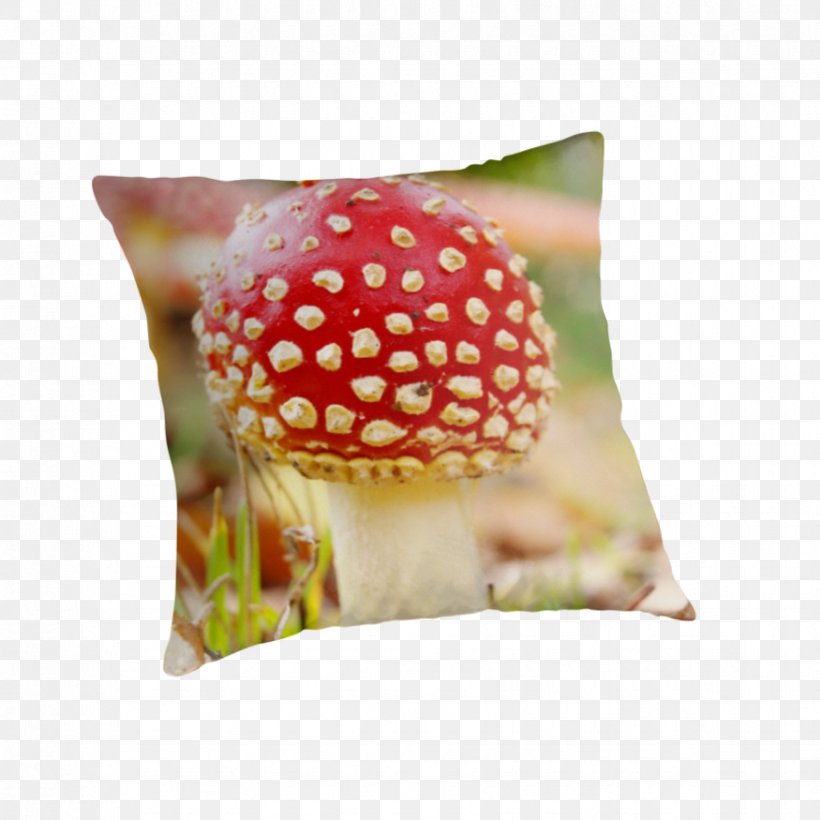 Throw Pillows Cushion, PNG, 875x875px, Throw Pillows, Cushion, Petal, Pillow, Throw Pillow Download Free