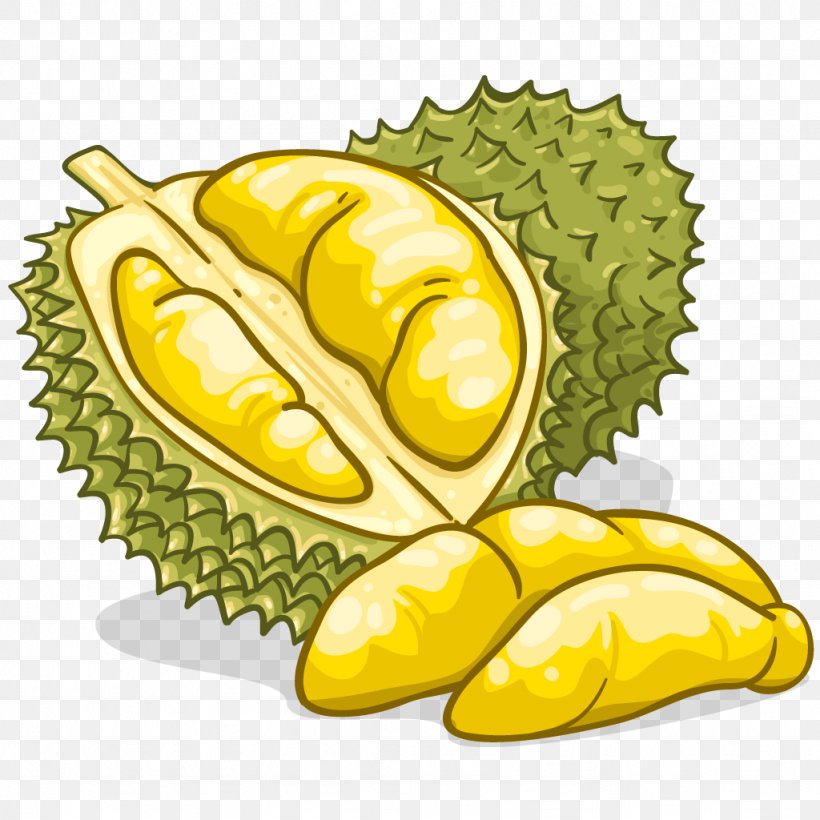 Durian Food Flavor Fruit Clip Art, PNG, 1024x1024px, Durian, Cartoon, Commodity, Corn On The Cob, Flavor Download Free
