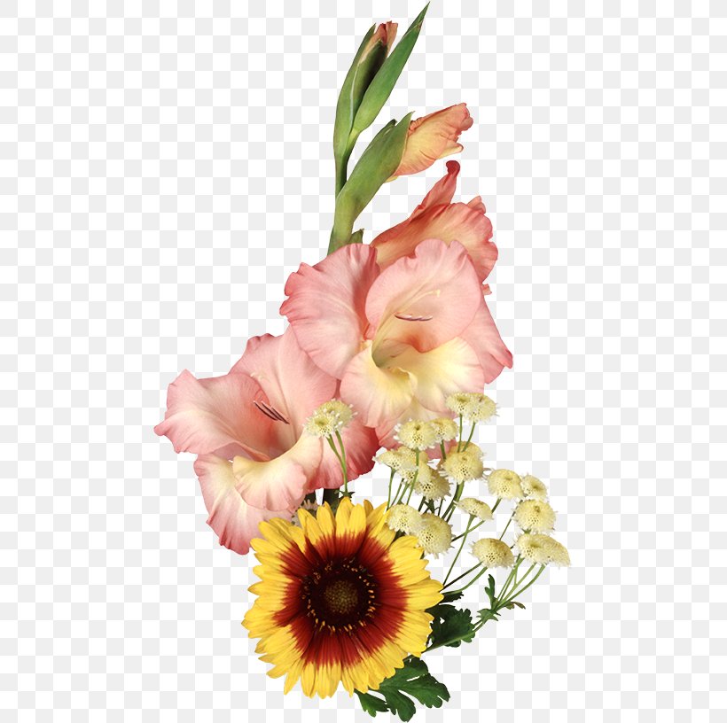 Gladiolus Cut Flowers Floral Design, PNG, 473x816px, Gladiolus, Coreldraw, Cut Flowers, Dendranthema Lavandulifolium, Floral Design Download Free