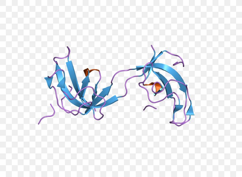 Dynactin DCTN1 Protein Subunit Art, PNG, 800x600px, Dynactin, Art, Function, Gene, Homo Sapiens Download Free