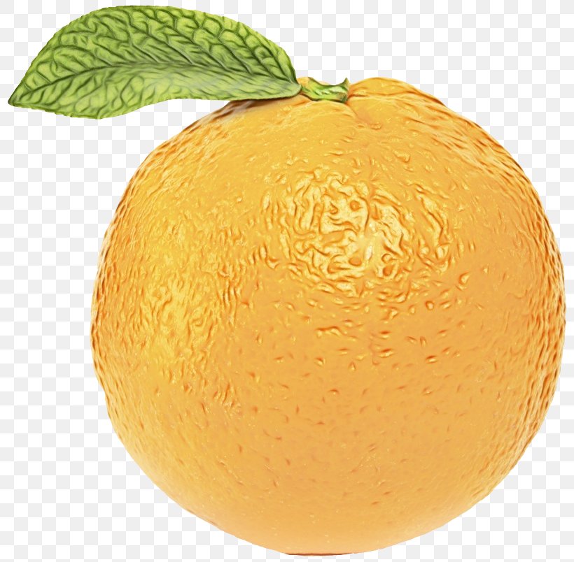 Valencia Orange Mandarin Orange Tangelo Vegetarian Cuisine, PNG, 816x804px, Valencia Orange, Bitter Orange, Citron, Citrus, Flowering Plant Download Free