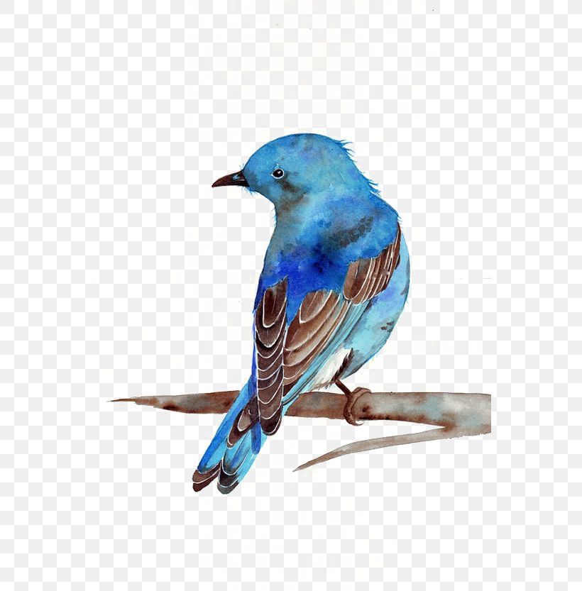 Watercolor Painting Bluebird Printmaking, PNG, 564x833px, Mountain Bluebird, Art, Beak, Bird, Blue Jay Download Free
