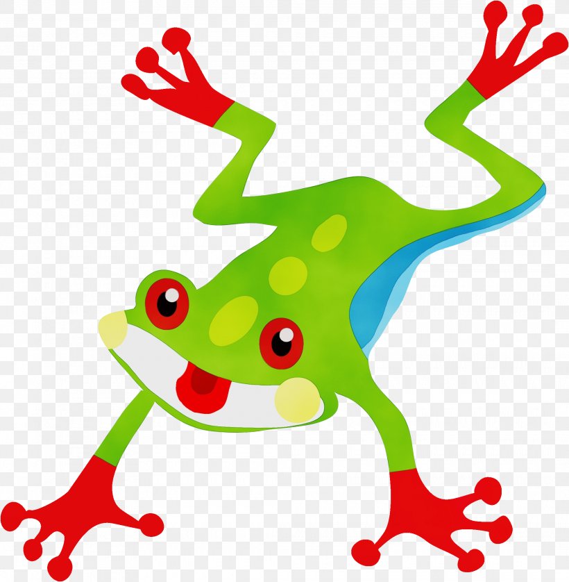 Agalychnis Tree Frog Frog Tree Frog Clip Art, PNG, 2120x2167px, Watercolor, Agalychnis, Frog, Hyla, Paint Download Free
