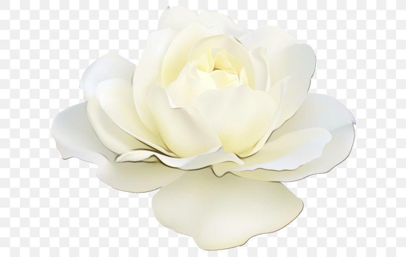 Artificial Flower, PNG, 640x520px, Watercolor, Artificial Flower, Candle, Cut Flowers, Flower Download Free