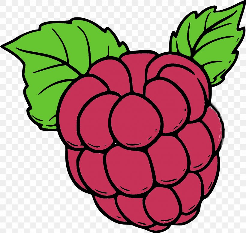Coloring Book Drawing Red Raspberry Fruit, PNG, 1428x1351px, Coloring Book, Artwork, Book, Drawing, First Abc Download Free