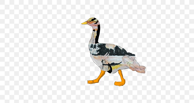 Duck Goose Fauna Beak Animal, PNG, 750x434px, Duck, Animal, Animal Figure, Beak, Bird Download Free
