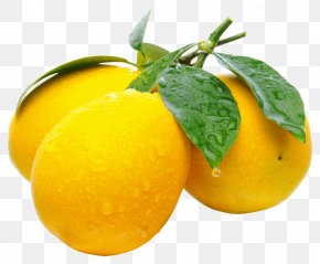 Lemon - Lemonade Desktop Wallpaper High-definition Television PNG