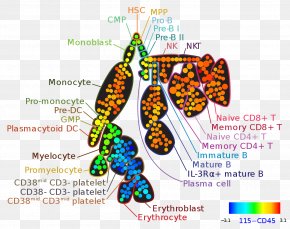 Flow Cytometry - Mass Cytometry Flow Cytometry Bioinformatics High Throughput Biology PNG