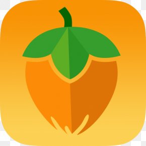 The Hazelnut Game App Store Hazelnut UG Google Play PNG