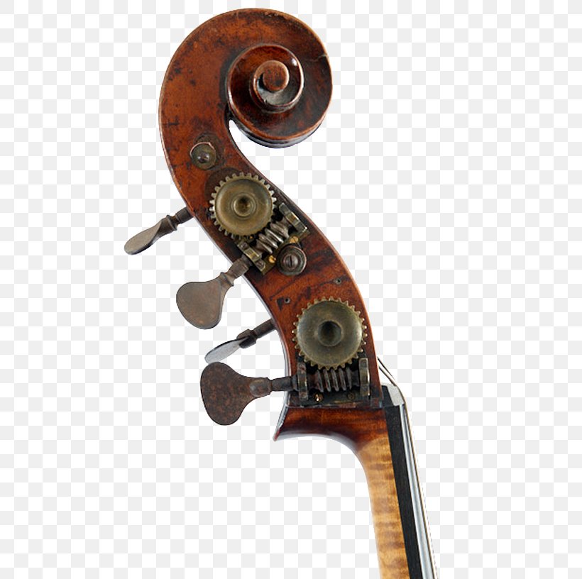 Violone Double Bass Cello Violin Viola, PNG, 500x816px, Violone, Bass Bar, Bass Guitar, Bow, Bow Maker Download Free