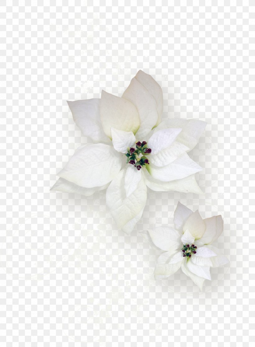 Cut Flowers Flowering Tea Rose Plant, PNG, 1708x2325px, Flower, Arabian Jasmine, Cut Flowers, Flower Bouquet, Flowering Plant Download Free
