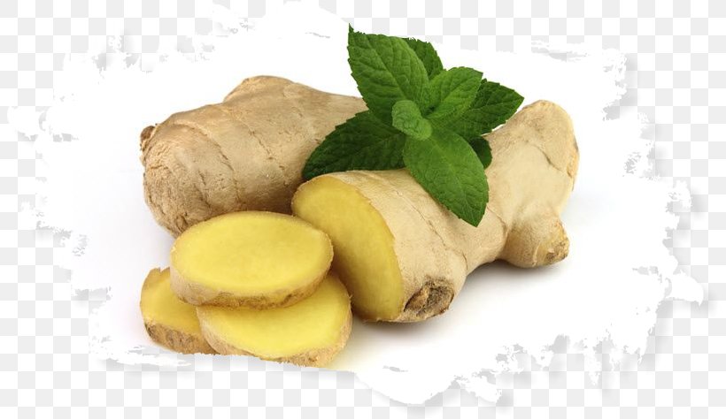 Ginger Rhizome Tuber Herbaceous Plant Turmeric, PNG, 803x474px, Ginger, Benih, Camphene, Extract, Food Download Free