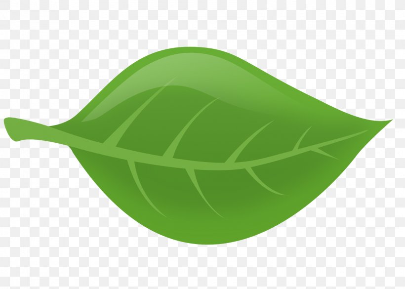 Green Leaf, PNG, 1600x1143px, Green, Grass, Leaf, Plant Download Free