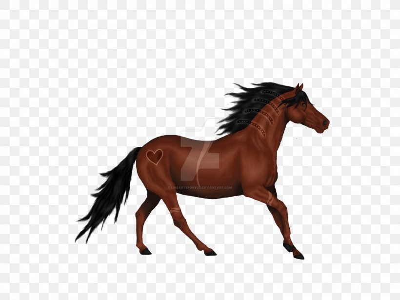 Horse Stallion Mane Rein Pony, PNG, 1600x1200px, Horse, Bridle, Colt, Halter, Horse Harness Download Free