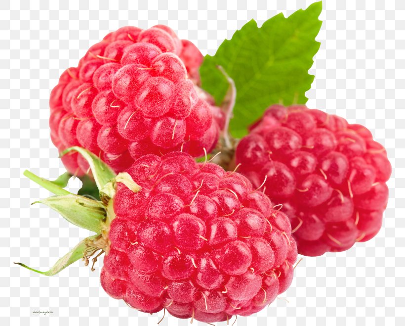 Raspberry Ketone Vegetarian Cuisine Health Fruit, PNG, 768x659px, Raspberry, Accessory Fruit, Berries, Berry, Blackberry Download Free