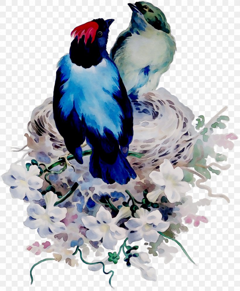 Blue Jay Cobalt Blue Illustration Beak, PNG, 1646x1998px, Blue Jay, Beak, Bird, Blue, Bluebird Download Free