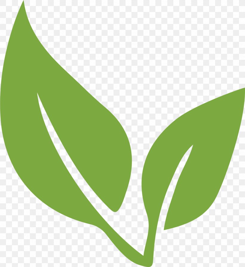 Green Tea Matcha Whisk Waste, PNG, 2036x2219px, Tea, Brand, Fertilisers, Grass, Green Download Free