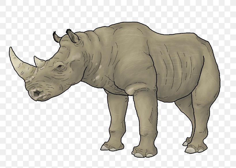Rhinoceros Animal Carnivora Art Embolotherium, PNG, 780x585px, Rhinoceros, Animal, Art, Carnivora, Carnivoran Download Free