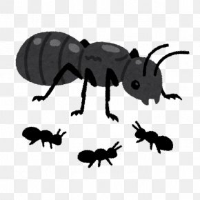 Mosquito - Ant Mosquito åƒãã‚¢ãƒªã®æ³•å‰‡ Queen Bee Insect PNG