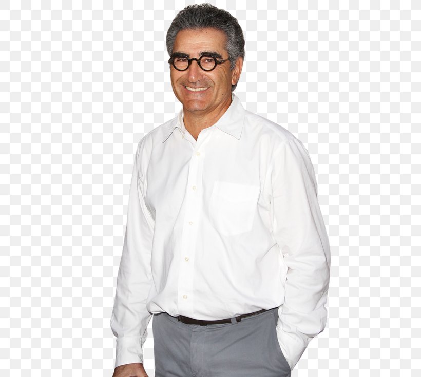 Eugene Levy T-shirt Dress Shirt American Pie: Reunion, PNG, 489x736px, Eugene Levy, Abdomen, American Pie, Blouse, Clothing Download Free
