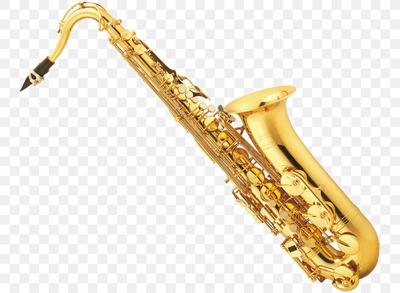 Musical Instrument Tenor Saxophone Alto Saxophone Clarinet Brass Instrument, PNG, 750x600px, Watercolor, Cartoon, Flower, Frame, Heart Download Free