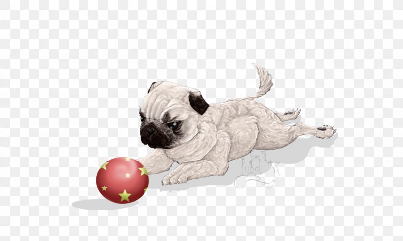 Pug Puppy Love Dog Breed Toy Dog, PNG, 1024x614px, Pug, Breed, Carnivoran, Dog, Dog Breed Download Free