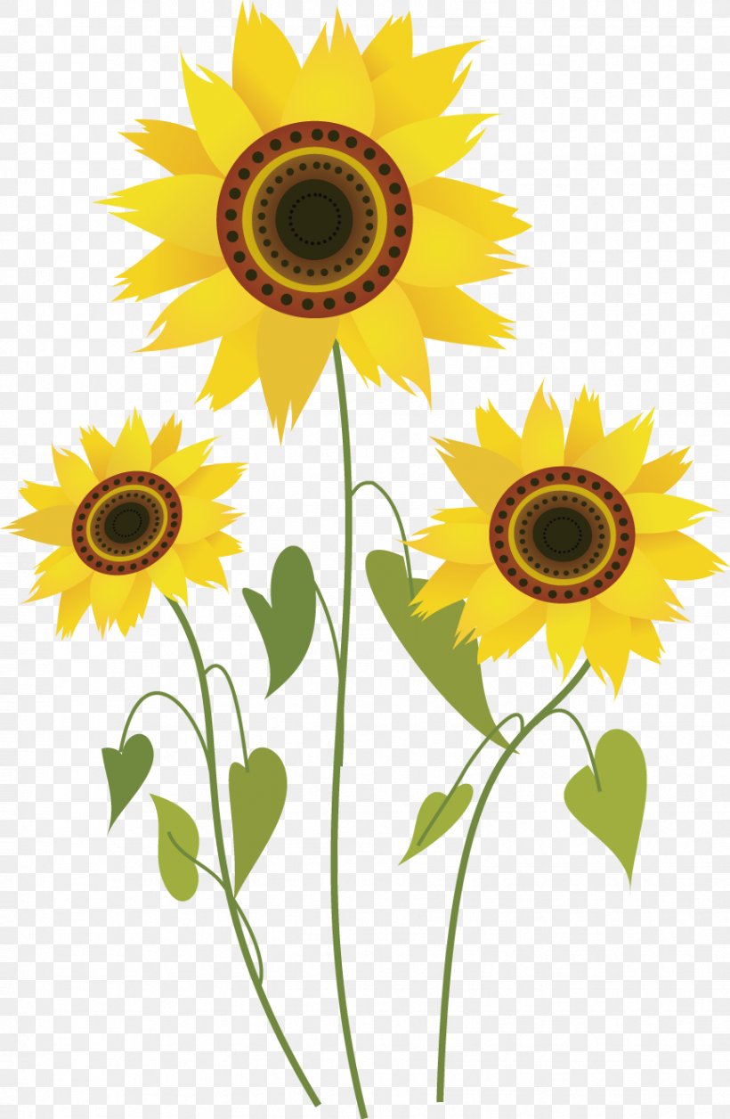 Common Sunflower Drawing Computer File, PNG, 867x1329px, Common Sunflower, Cartoon, Cut Flowers, Daisy Family, Drawing Download Free