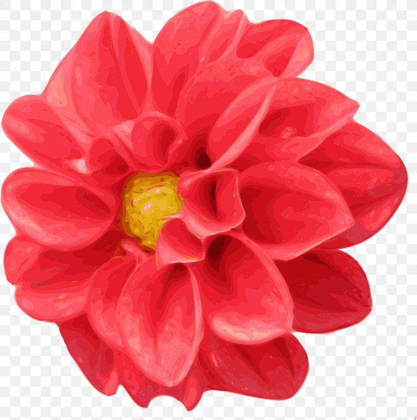 Dahlia Free Content Clip Art, PNG, 1669x1682px, Dahlia, Chrysanths, Color, Daisy Family, Description Download Free