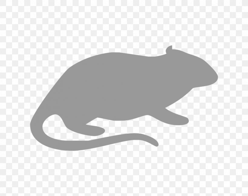Rodent Cat Rat Gerbil Guinea Pig, PNG, 1008x798px, Rodent, Animal, Beaver, Bed Bug, Black Download Free