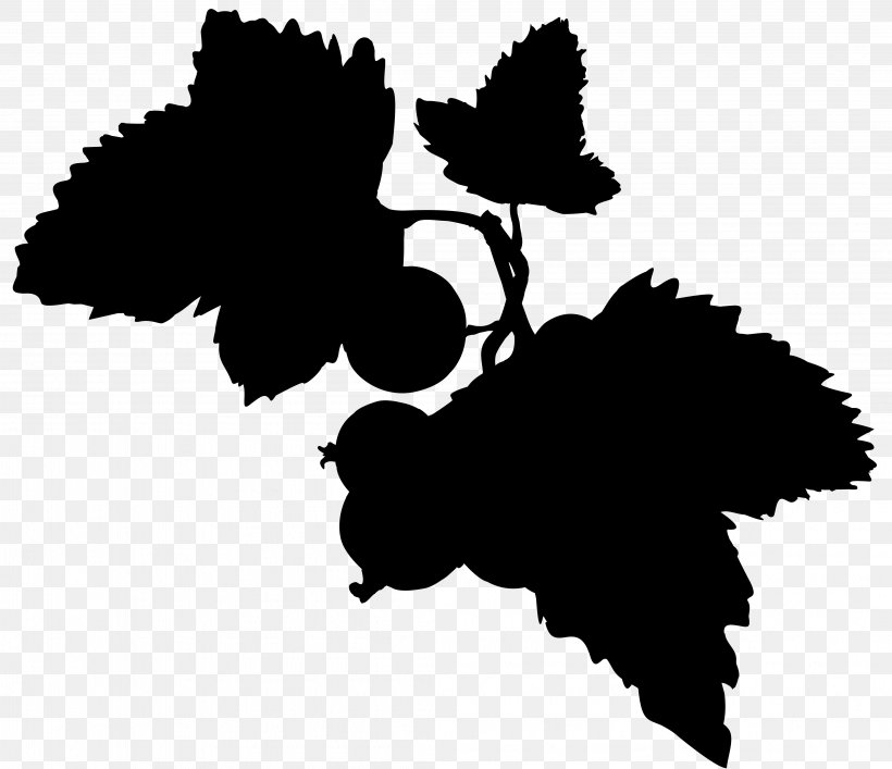 Black And White Flower, PNG, 4217x3640px, Grape, Black, Black M, Black White M, Blackandwhite Download Free