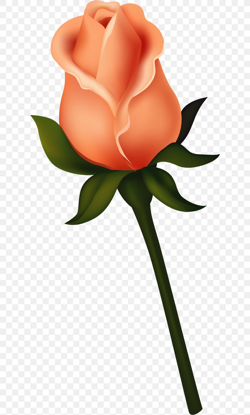 Black Rose Bud Clip Art, PNG, 622x1364px, Rose, Black Rose, Blue Rose, Bud, Cut Flowers Download Free