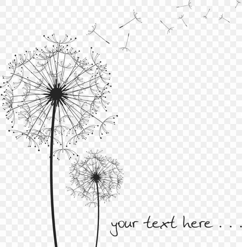 Common Dandelion Black And White Drawing, PNG, 942x961px, Common Dandelion, Area, Black, Black And White, Dandelion Download Free