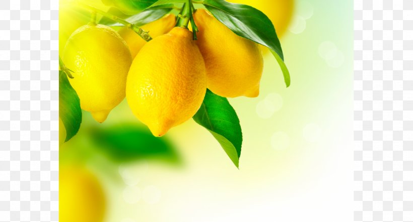 Meyer Lemon Citroenolie Oil, PNG, 1228x662px, Lemon, Citroenolie, Citrus, Food, Fruit Download Free