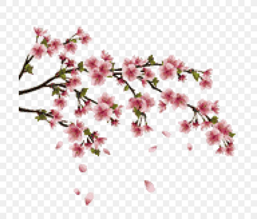 Cherry Blossom Wall Decal Branch, PNG, 700x700px, Cherry Blossom, Blossom, Branch, Cherry, Cut Flowers Download Free