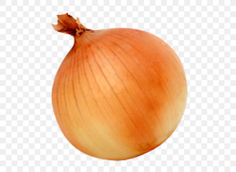 Yellow Onion Red Onion Sweet Onion, PNG, 570x600px, Yellow Onion, Food, Ingredient, Onion, Onion Genus Download Free
