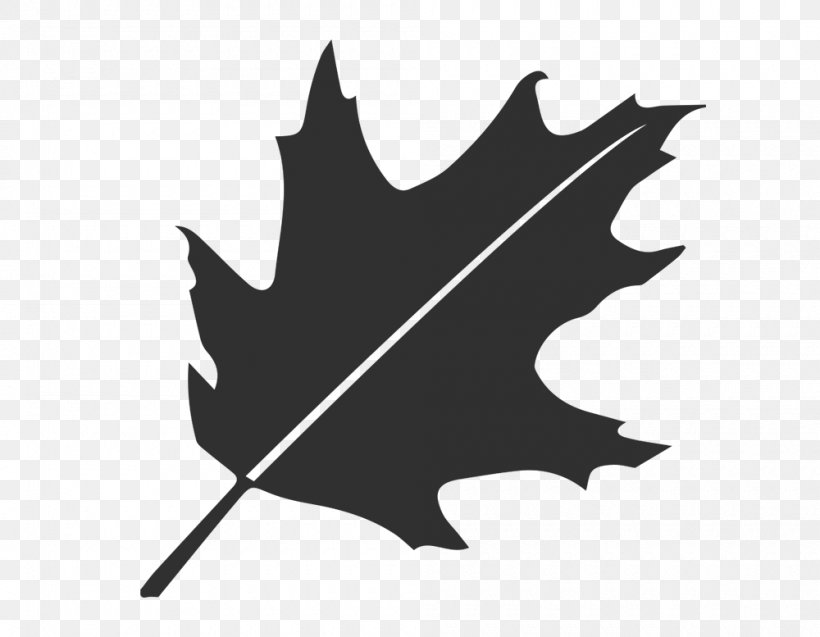 Clip Art Autumn Leaf Color Stencil Vector Graphics, PNG, 1000x777px, Leaf, Autumn, Autumn Leaf Color, Black And White, Drawing Download Free