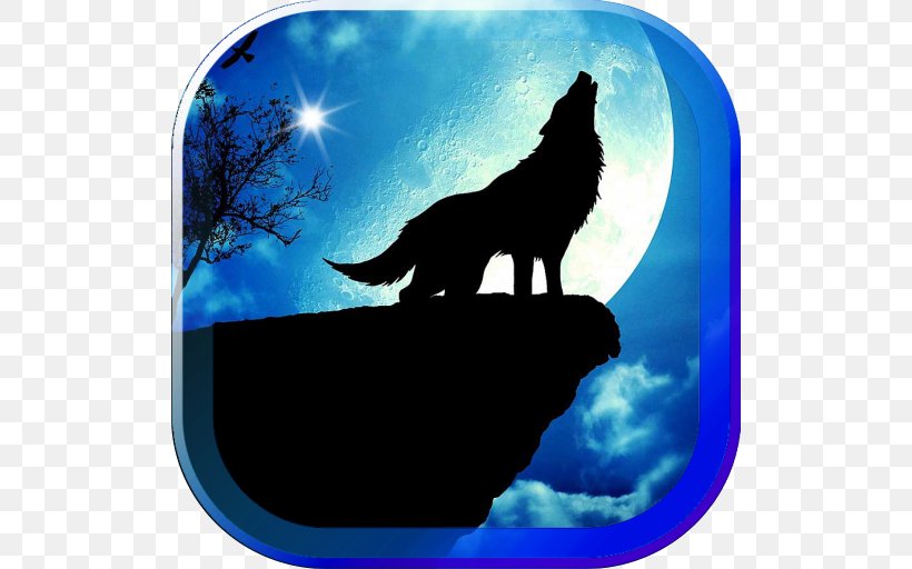 Shoot For The Moon Supermoon Gray Wolf Wolf Wallpapers, PNG, 512x512px, Supermoon, Animal, Black Wolf, Earth, Full Moon Download Free