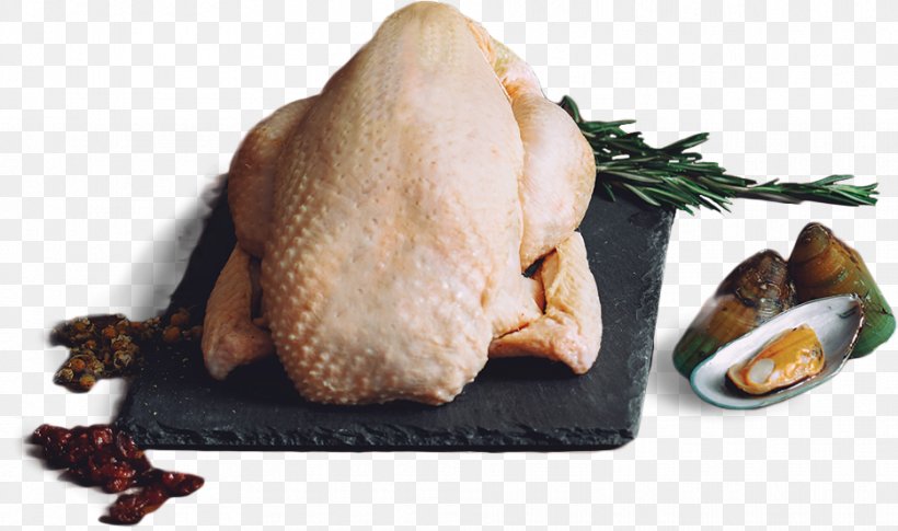 Turkey Meat Recipe Animal Source Foods Dish, PNG, 934x553px, Turkey Meat, Animal Source Foods, Chicken, Dish, Dish Network Download Free